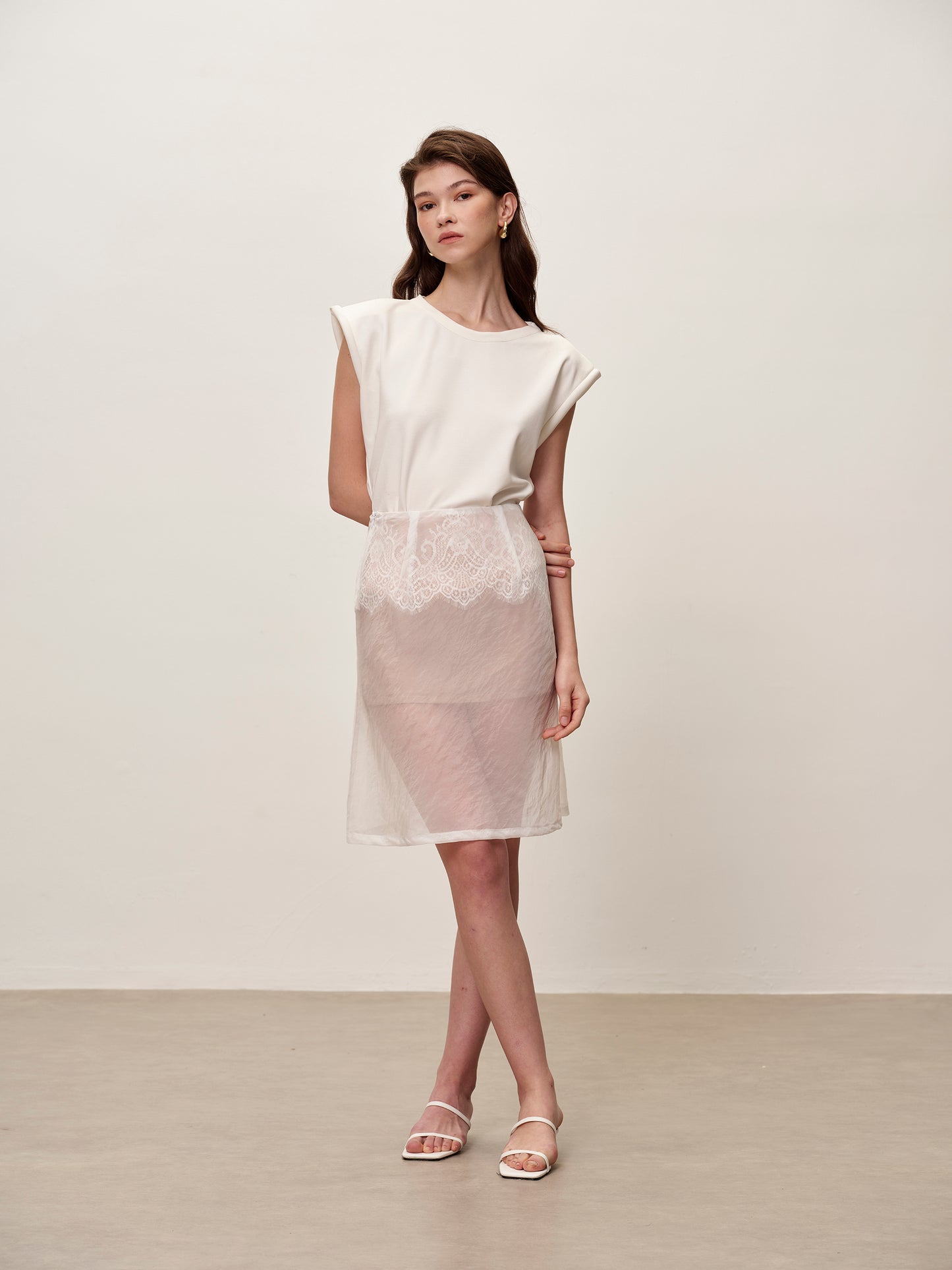Sheer Organza Lace Mesh Skirt