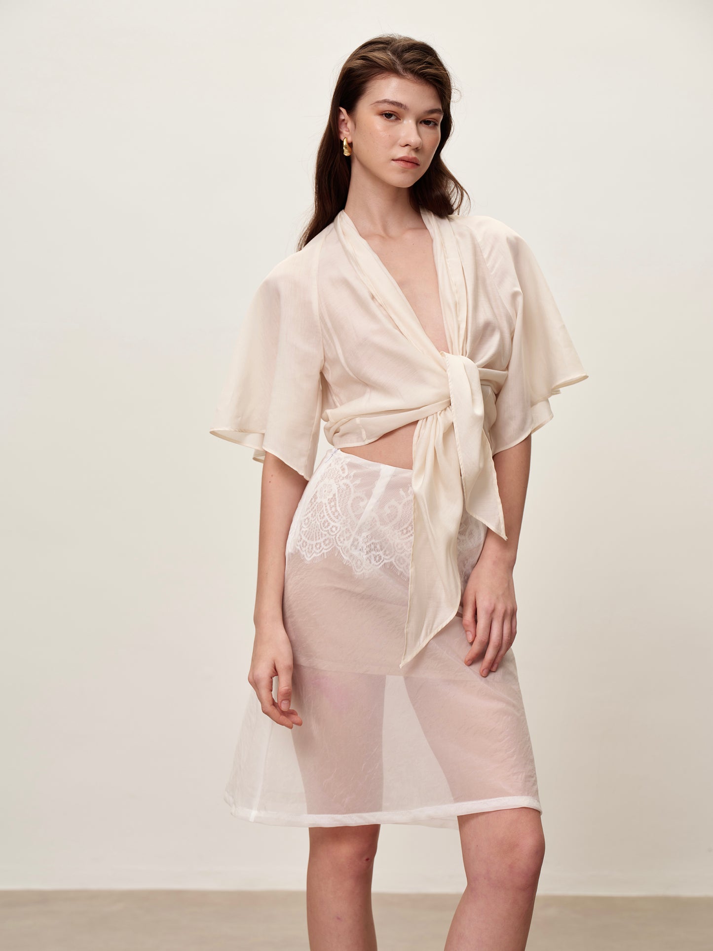 Sheer Organza Lace Mesh Skirt