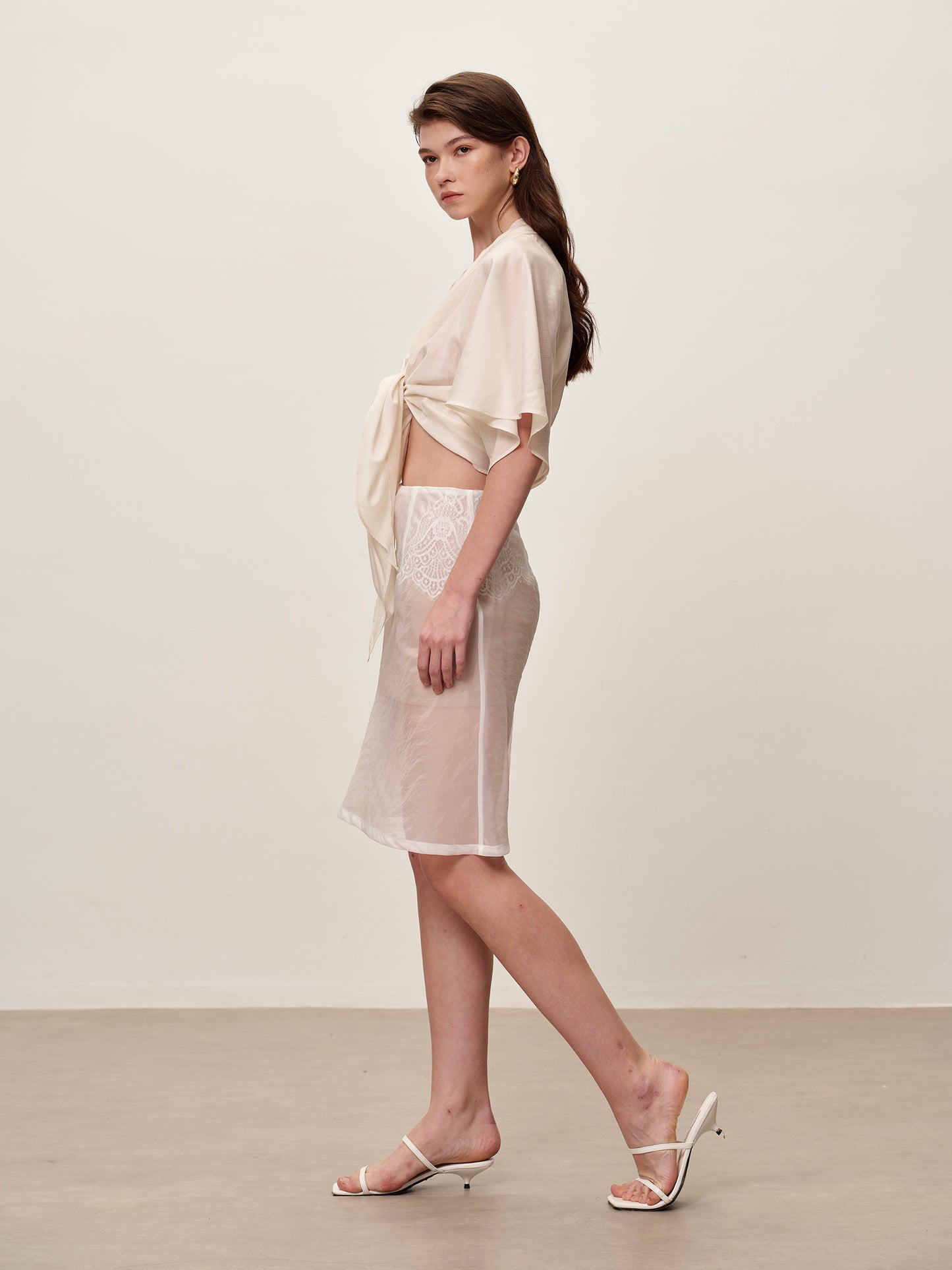 Sheer Organza Lace Mesh Skirt